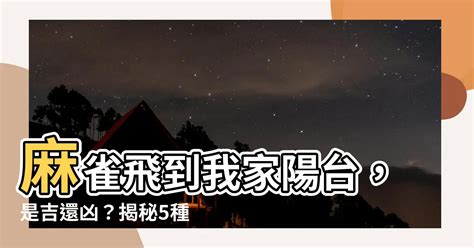 麻雀飛進家裡|【家裡飛進麻雀】家裡飛進麻雀的吉凶預兆：小心謹慎，福禍難測。